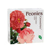 Əl Sabunu Canmepris Peonies, 100 q