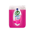 Universal səth təmizləyici vasitə Cif Professional Orkide Bahçesi, 5 L