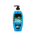 Duş geli Palmolive Men Sport Bərpaedici 3in1, 750 ml, kişilər üçün