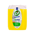 Qab yuma vasitəsi Cif Professional, 5 l